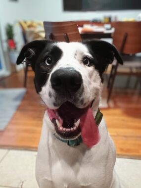 Meet your Posher, Virginia c.